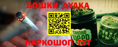 прущие грибы Нальчик