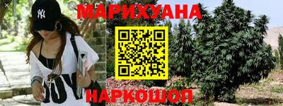 прущие грибы Нальчик