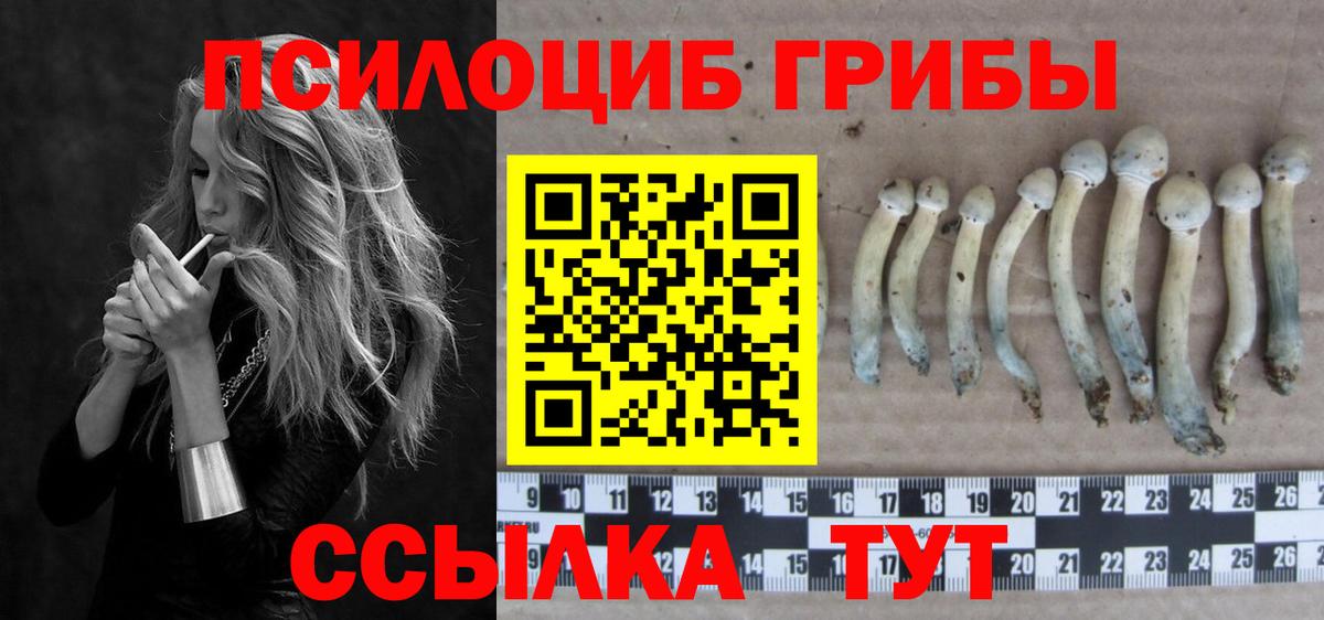 Галлюциногенные грибы GOLDEN TEACHER  Вход с VPN  Верхний Уфалей 